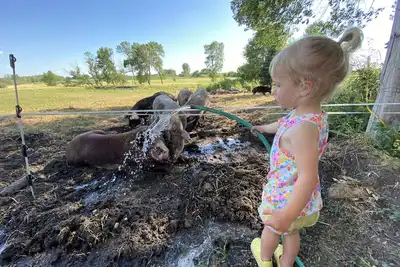 Image de O'Halloran House-Feathered Acres Learning Farm & Inn