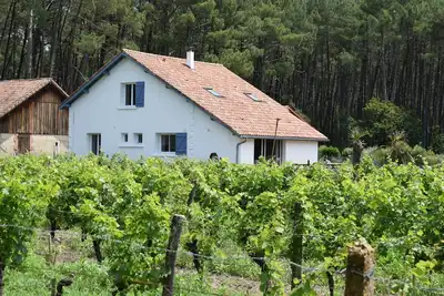 Image de Villa coté Pinède et lac