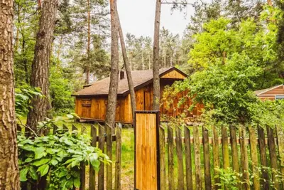 Image de Cozy Nature Retreat: w\/ Patio ~ Fireplace & Garden