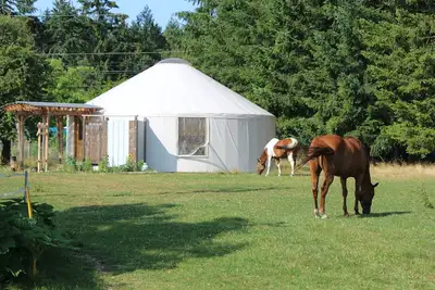 Image de Farm-Stay one bedroom Eagle yurt