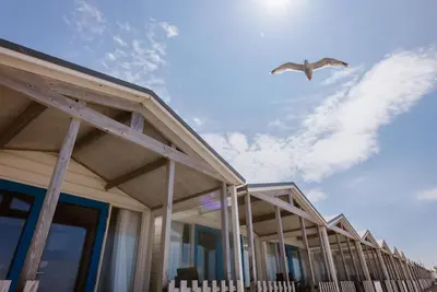 Image de Maison de Plage Ă Wijk aan Zee avec Vue Mer