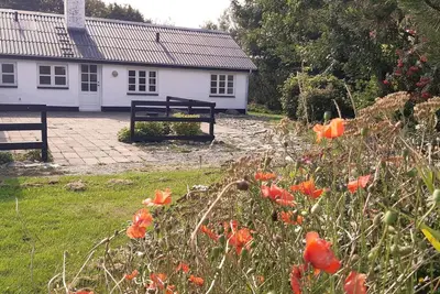 Image de Maison de vacances pour 8 a Løkken-By Traum