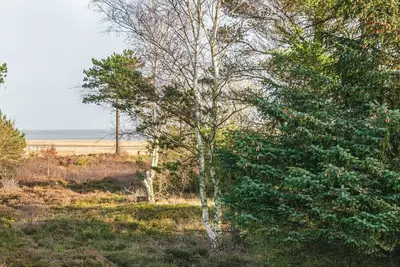 Image de Maison de vacances pour 5 a Rømø-By Traum