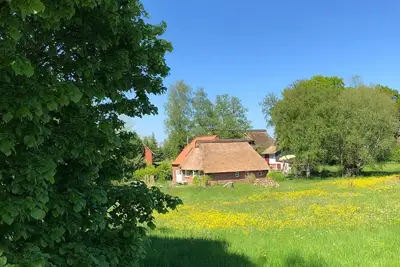 Image de Ferienhaus für 5 Gäste mit 100m² in Goosefeld