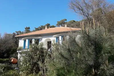 Image de Villa nymphéas