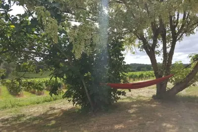 Image de La Maison du Vignoble: Charme & Vue Panoramique