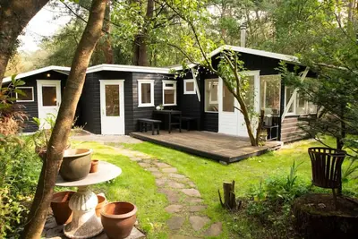 Image de Magical forest cottage at Veluwse bos.