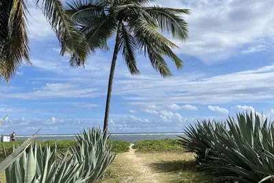 Image de Appt Oasis, Pied dans l'eau, La Saline Les Bains