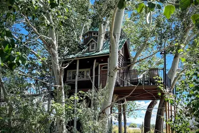 Image de Fantasy Treehouse and Resort\n