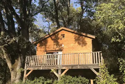 Image de Cabane dans les arbres, au coeur d'un vignoble provençal