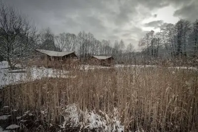 Image de Charming. A Cottage in the Middle of the Woods