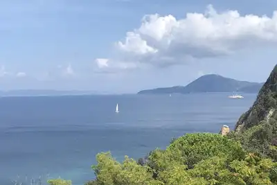 Sea Breeze