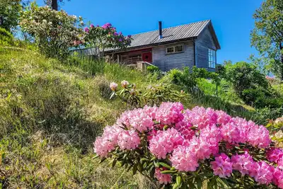 Image de Superbe maison à Jørpeland avec WiFi