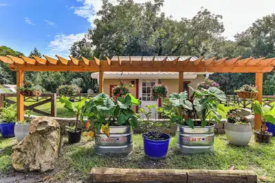 Image de Tin Roof Cabin at The Cove!