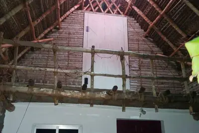 Image de Jenam cottages. .