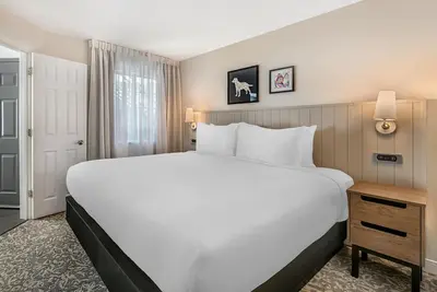 Image de Explore Orlando's Best Attractions! Full Kitchen, Outdoor Pool, Pet-friendly!