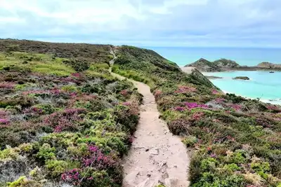 Image de Vacances de plain pied sur le Cap d'Erquy