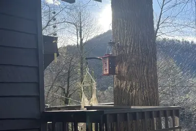 Tiny cabin at the base of the Cullasaja Gorge.