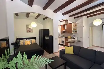 Image de Spacious 1850 Raval 46m Loft. Ideal for Couples and Digital Nomads. Pet-Friendly