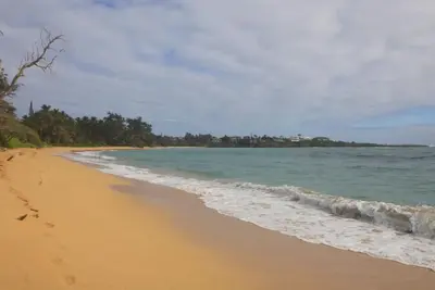 Image de 🌺Moku Paradise Hale - Oceanfront
