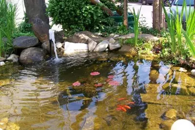 Image de Ferienwohnung Rosengarten - ab 5 Nächte - Stockers Kleines Dorfhotel