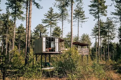 Spend the night in a real tree house with elements to discover!