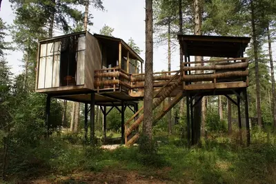 The ultimate tree house experience including hottub