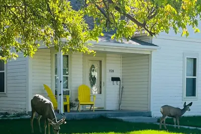 Image de Cody Cowboy Cottage