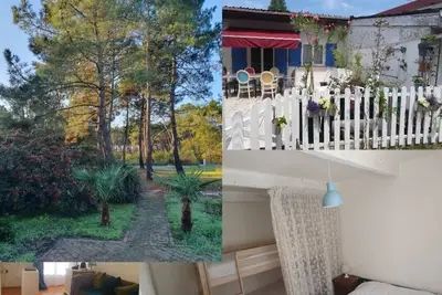 Image de Maisonnette au cœur de la forêt proche des plages