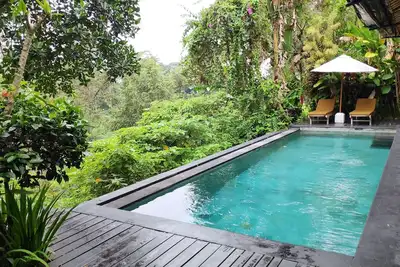 Image de Villa Damai Shanti Jungle View villa.