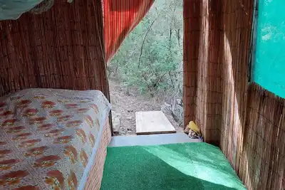 Image de Bamboo in the forest for 1pers