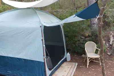 Image de La Carpa Bouddha au Cœur de la Forêt pour 1 personne.