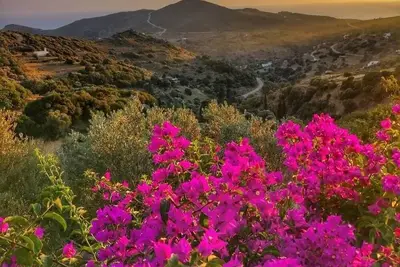 Image de Ancient Stone House Renovated - View of Felos Valley, Seal Mountains and Sunsets