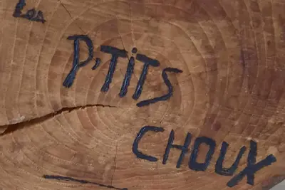 Gîte Les petits choux