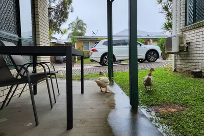 Image de The Goose Pond - 2br, 1. 5bth, Aircon throughout.