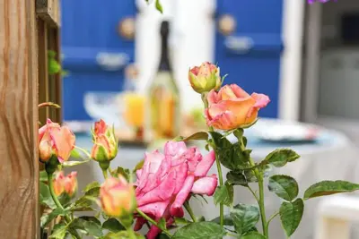 Image de Jardin Secret by Interhome