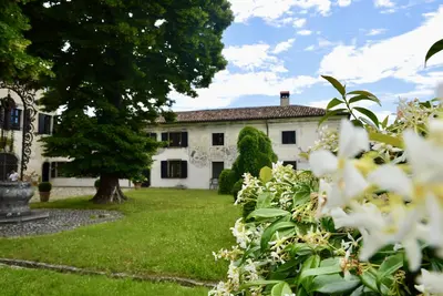 Image de Historic villa surrounded by vineyards