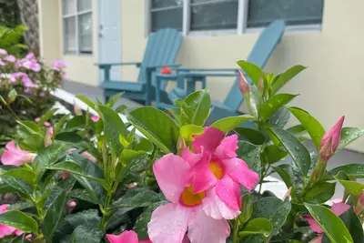 Image de Centrally located, recently renovated, beach-themed delight; 4-min to the beach!