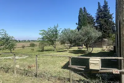 Image de Petite Maison Avec Terrain Entre Route, Vignes et Lavande
