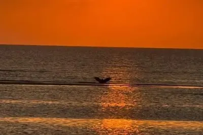 Image de Key West Cottage by the bay - Villas Nj