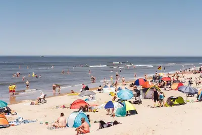 Image de Lodge confortable avec hamac à 900 m. de la plage.