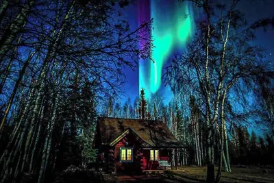 Image de Northern Lights Escape: Authentic Log Cabin with Private Sauna Experience