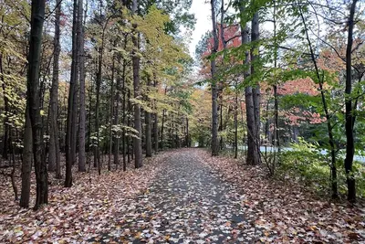 Image de Nature, Parks and Beaches! Right in between Holland and Grand Haven.