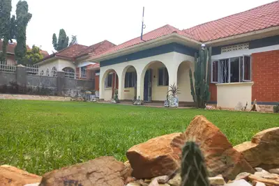 Image de Stone Cactus