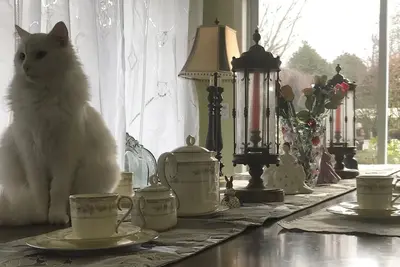 Image de Sweet Home