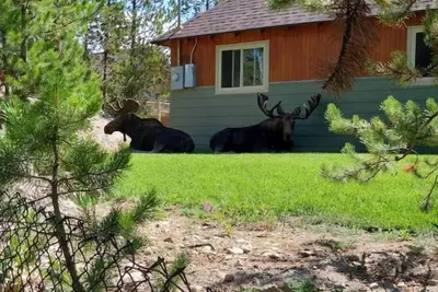 Image de Cozy Blackhawk Cabin