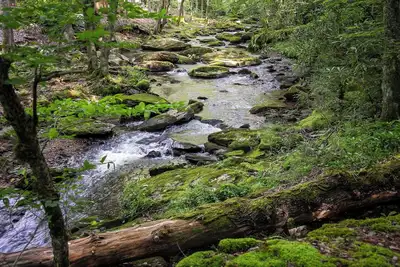 Image de Creek House - Hot tub, Fishing, 2 Firepits!