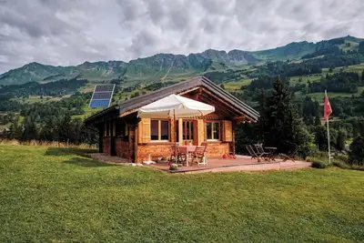 Magnifique petit chalet aux Diablerets, en pleine nature