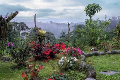 Shanti hOMe Be embraced by Mother Nature w\/private waterfalls and river access
