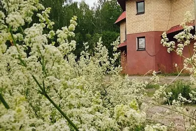 Image de Family friendly accomodation near the Baltic sea!